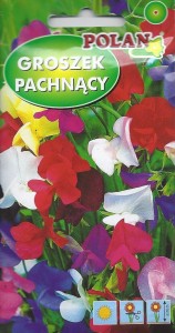 Groszek pachnący mix 3g (Lathyrus odoratus) nasiona   