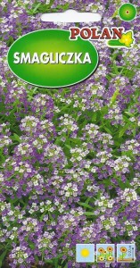 Smagliczka nadmorska 1g liliowa (Lobularia maritima ) nasiona  