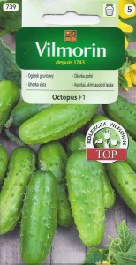 Ogórek Octopus  F1 1,5g HIT!!! nasiona