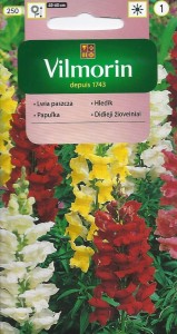 Lwia paszcza średnio wysoka/wyżlin 1g (Antirrhinum majus) nasiona   
