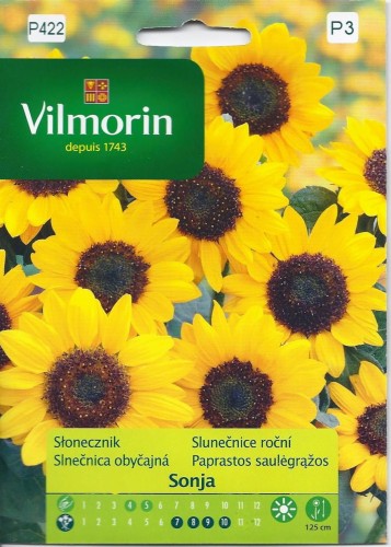 Słonecznik Sonja (Helianthus annuus) 0,5g nasion