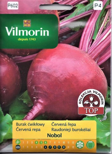 Burak ćwikłowy Nobol 8g Vilmorin agromarket24.pl