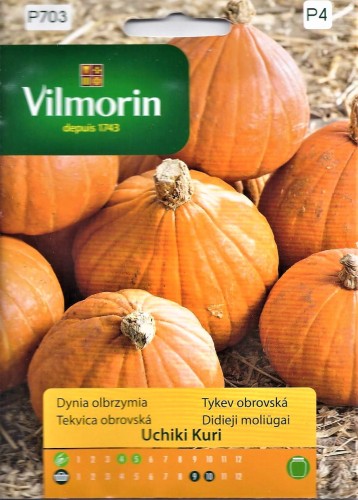 Dynia Uchiki Kuri 3g Vilmorin agromarket24.pl