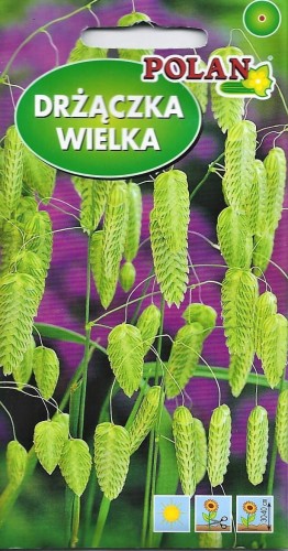 drzączka.jpg