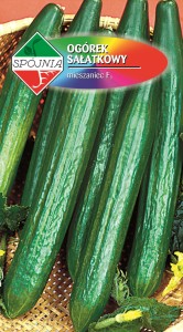 Ogórek szklarniowy Lech F1 1g  nasiona     