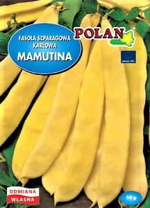 Fasola szparagowa karłowa Mamutina 50g (nasiona)