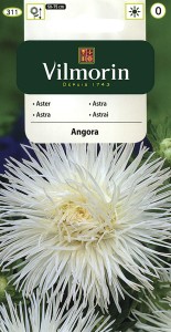 Aster chiński igiełkowy  Angora biały 0,5g nasiona (Callistephus chinensis)    