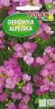 gęsiówka alpejska róz.jpg