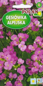 Gęsiówka alpejska różowa 0,5g (Arabis alpina) nasiona