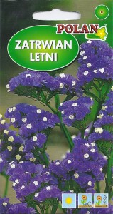 Zatrwian letni / wrębny niebieski (Limonium sinuatum) 0,5g nasiona otarte