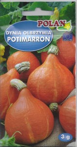 Dynia Potimarron 3g nasiona (typ hokkaido)