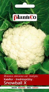 Kalafior Snowball X 1g nasiona  HIT 
