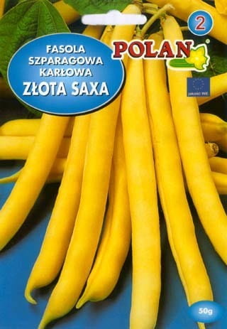 fasola złota saxa polan.jpg
