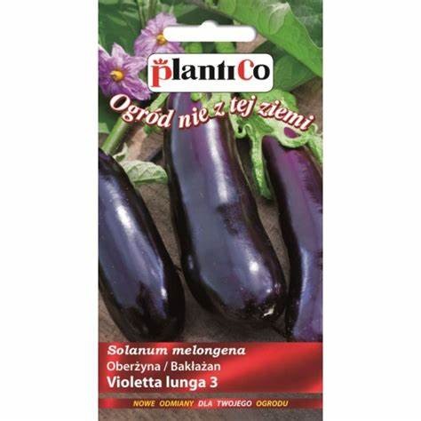 bakłazan violetta.jpg