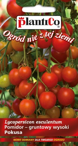 pomidor pokusa pco.jpg