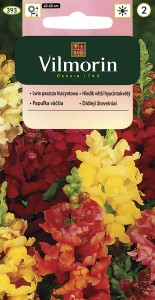 Lwia paszcza hiacyntowa /wyżlin 1g (Antirrhinum majus nanum maxi.hyacinthiforum) nasiona   