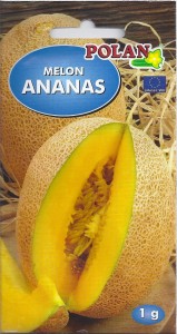 Melon Ananas 1g (Cucumis melo) nasiona