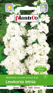 Lewkonia letnia biała Opal Excelsior 100% 0,5g (Matthiola incana annua fl.pl.) nasiona