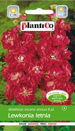Lewkonia letnia czerwona Paria Excelsior 100% 500mg  (Matthiola incana annua fl.pl.) nasiona 