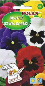 Bratek wielkokwiatowy szwajcarski ( Viola wittrrockiana) mix 0,5g nasion   