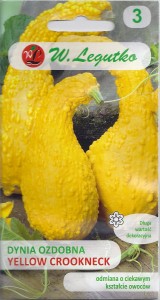 Dynia ozdobna Yellow Crookneck 1g ( Cucurbita pepo) nasiona