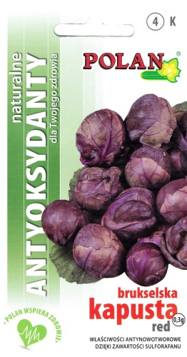 brukselka red polan.jpg