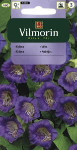 Kobea pnąca fioletowa  0,5g (Cobaea scandens) nasiona  