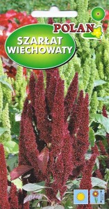 Szarłat wiechowaty  2g (Amaranthus paniculatus)  nasiona  