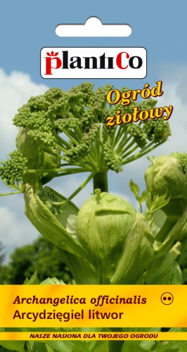 arcydzięgiel pce.jpg