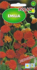 Emilia szkarłatna 0,3g (Emilia coccinea) nasiona  