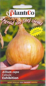 Cebula Exhibition 1g (Allum cepa) nasiona