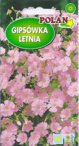 Gipsówka letnia karminowa 2g (Gypsophila elegans) nasiona