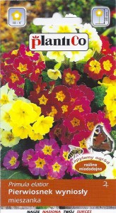Pierwiosnek wyniosły mix 0,2g (Primula eleatior graniflora) nasiona  