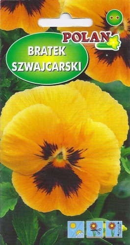 bratek pom z pl pol.jpg