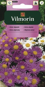 Aster alpejski 0,5g ( Aster alpinus) nasiona   