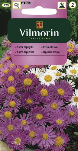 vilmorin zdjęcia 016.jpg