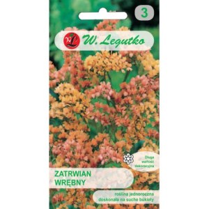 Zatrwian letni /wrębny łososiowy 0,3 (Limonium sinuatum) nasiona
