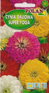 Cynia wytworna  daliowa Super Yoga - mix 1g  (Zinnia elegans fl.pl.) nasiona