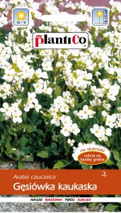 Gęsiówka kaukaska  0,5g ( Arabis caucasica) nasiona  
