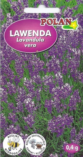 lawenda pol.jpg