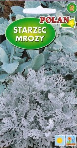 Starzec,Mrozy 0,5g (Cineraria maritima) nasiona  