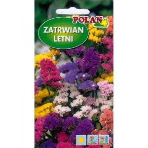 Zatrwian letni/wrębny mix 0,5g (Limonium sinuatum ) nasiona  otarte  