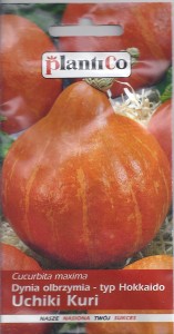 Dynia Uchiki Kuri  3g hokkaido (Cucurbita maxima)nasiona  