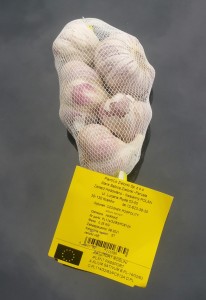 Czosnek jadalny Harnaś 0,25kg ozimy