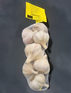 Czosnek jadalny Harnaś 0,5kg ozimy 