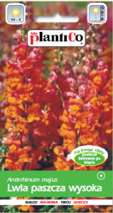Lwia paszcza wysoka pomarańczowa Sułtan/Cavalier 0,5g (Antirrhinum majus) nasiona
