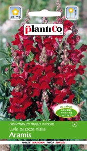 Lwia paszcza niska Aramis 0,5g (Antirrhinum majus nanum) nasiona  