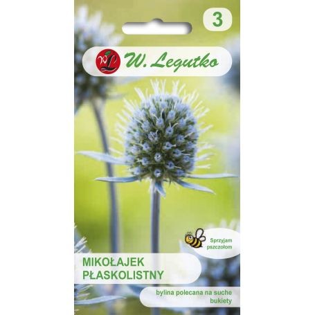 mikolajek-plaskolistny legutko.jpg