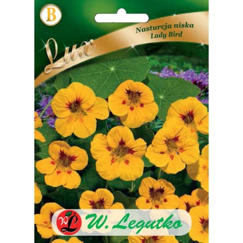 nasturcja-niska-lady-bird leg.jpg