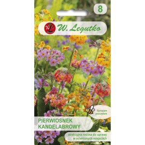 Pierwiosnek kandelabrowy mix 0,02g (Primula candelabra hybr.) nasiona